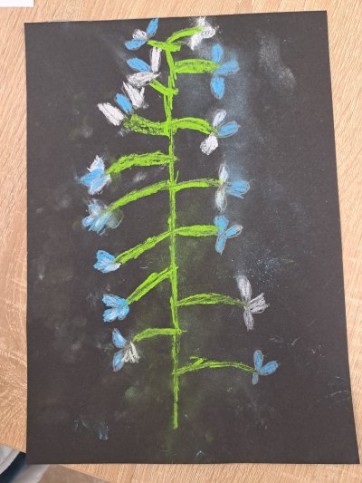 Zajęcia plastyczne 21.11.23